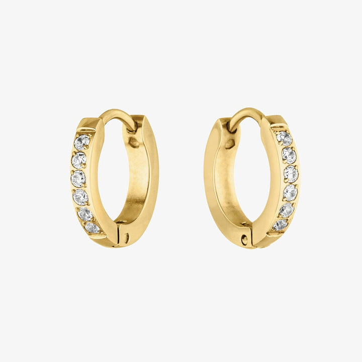 Tiny Gold Hoop Earrings